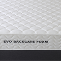 Evo Backcare Foam