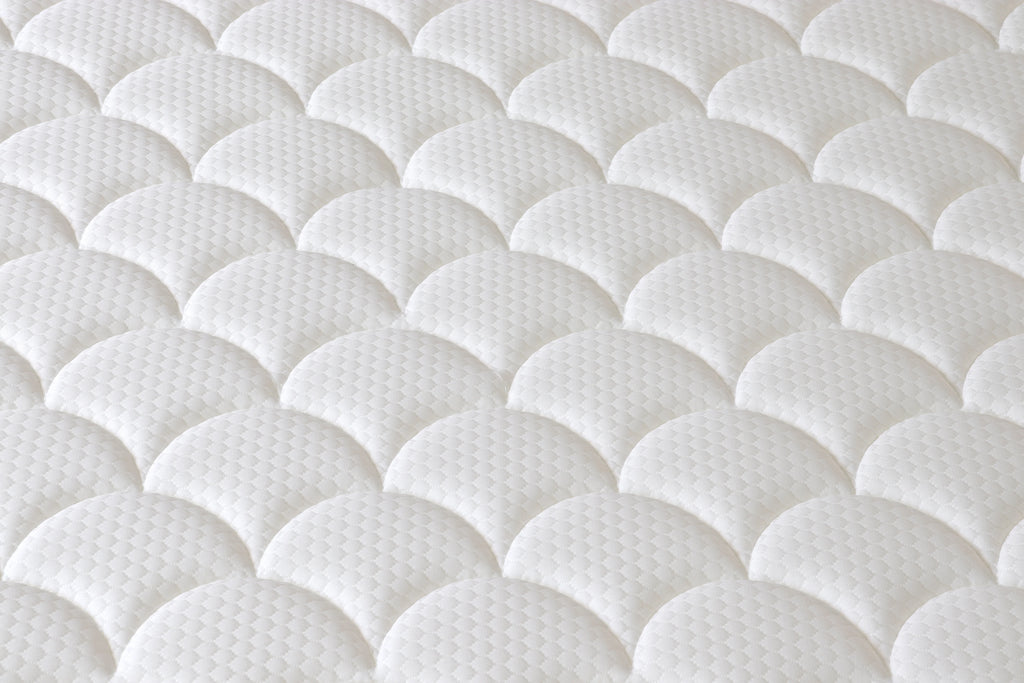 Evo Backcare Foam