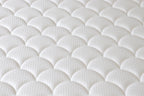 Evo Backcare Foam