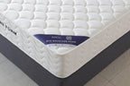 Evo Backcare Foam