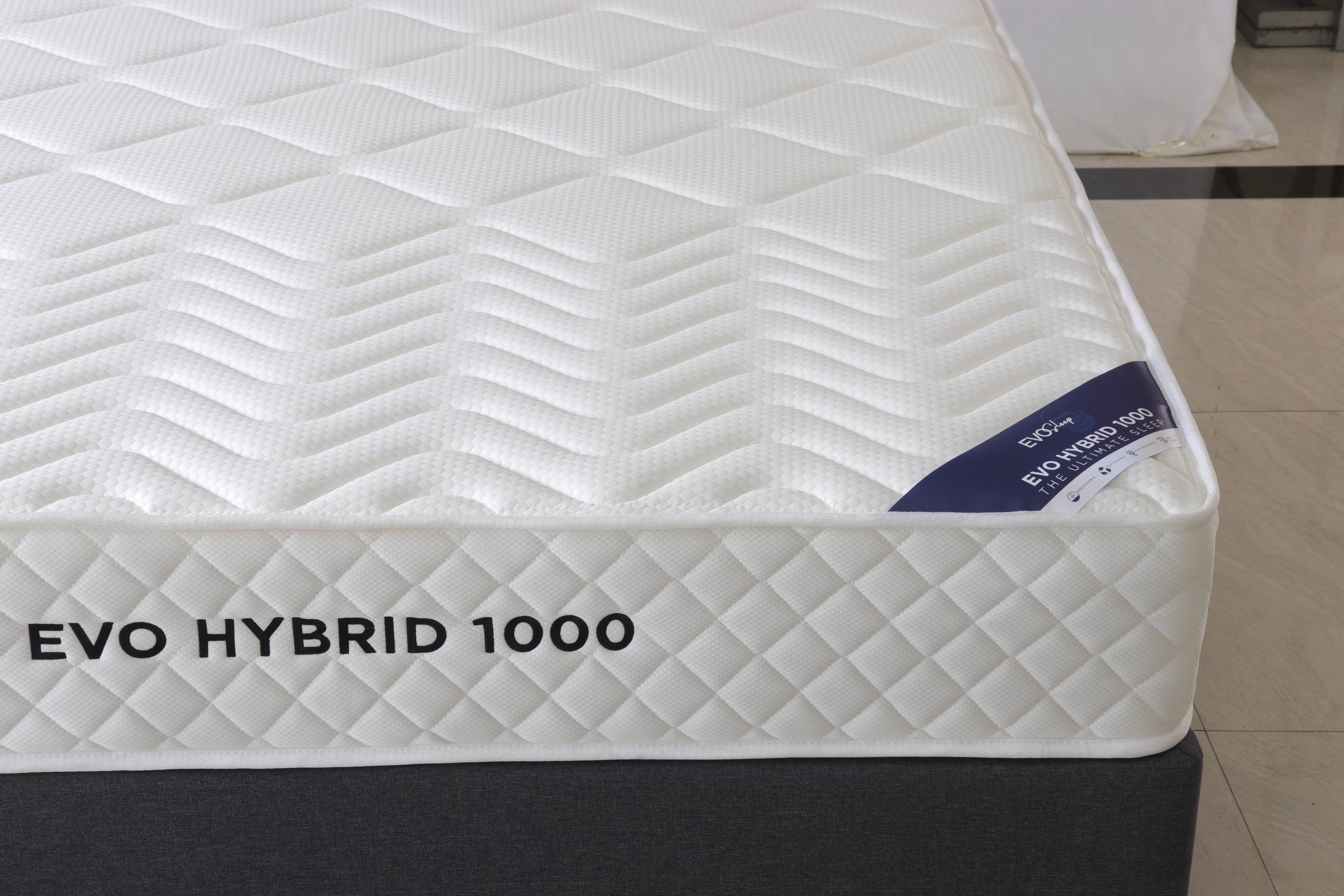 Evo Hybrid 1000