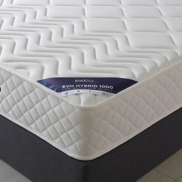Evo Hybrid 1000