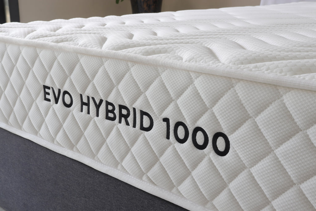 Evo Hybrid 1000