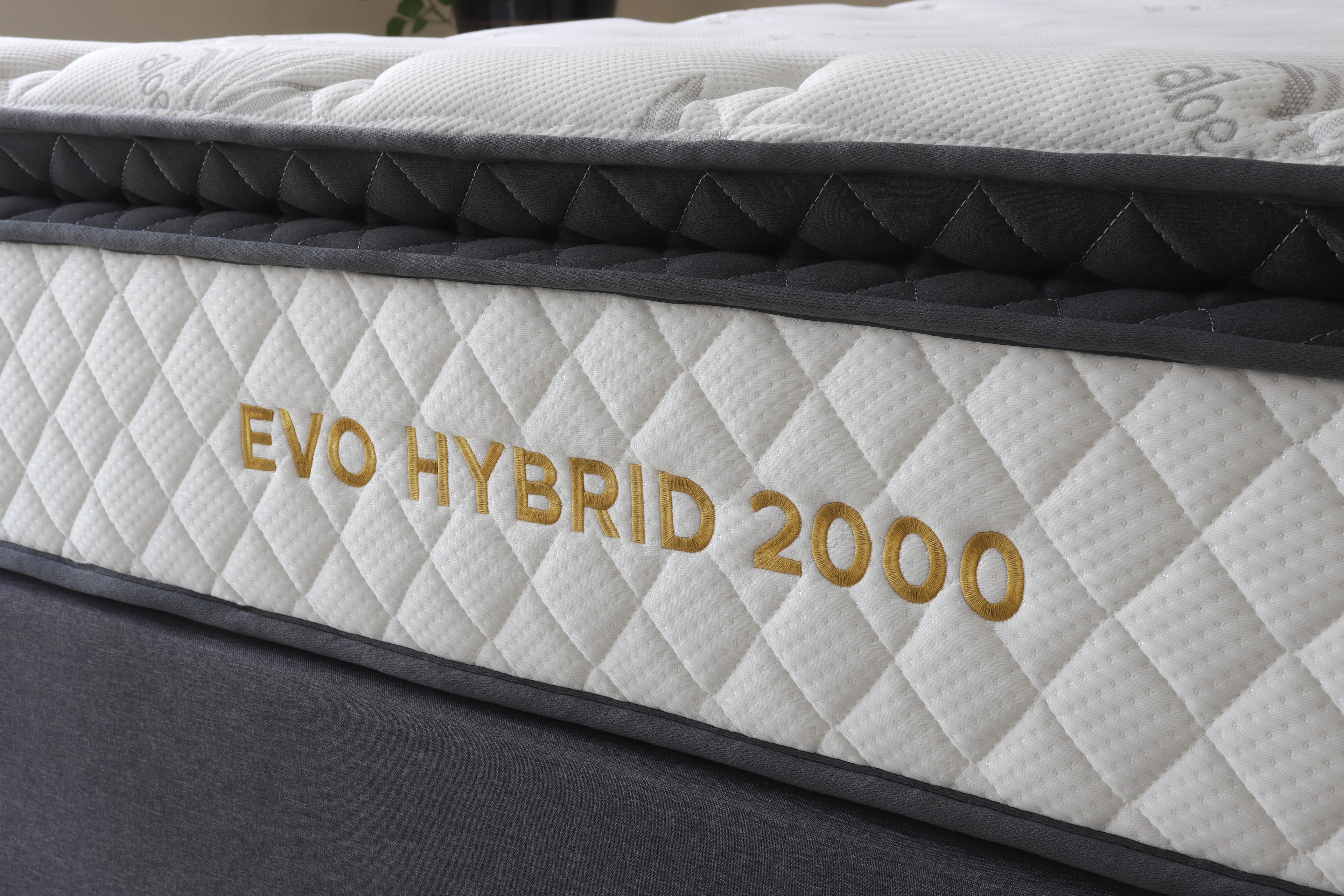 Evo Hybrid 2000