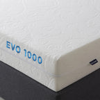 Evo 1000 Foam