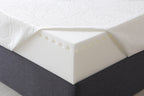 Evo 1000 Foam