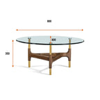 Ollie Glass Coffee Table